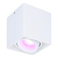 Esto smart Opbouwspot - Vierkant - Plafondspot - Kantelbaar - RGBWW - Wifi + Bluetooth - Google Home, Amazon Alexa en Siri - Wit - Bestuurbaar via App en Stem