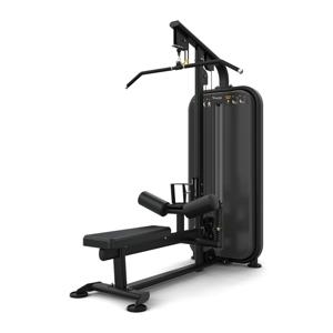 Vision Fitness lat pulldown/seated row