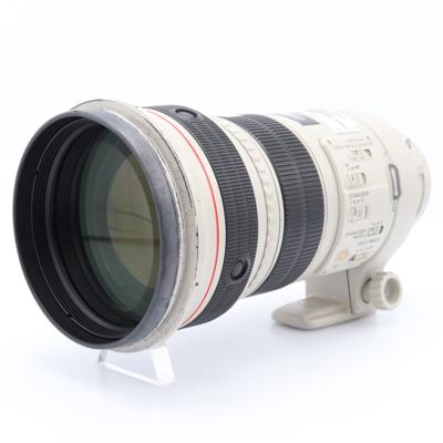 Canon EF 300mm f/2.8 L IS USM occasion