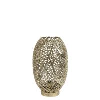 Sinula - thumbnail