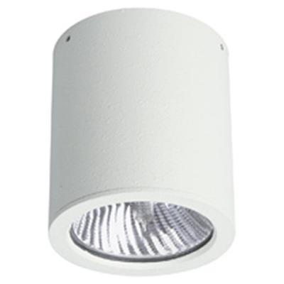 Albert Plafondverlichting buitenYori 12w - wit - 682380