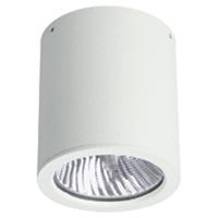 Albert Plafondverlichting buitenYori 12w - wit - 682380