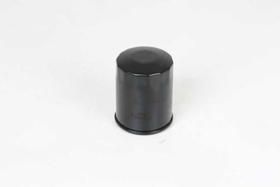 Oliefilter BSG65140012