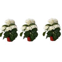 3x stuks Hortensia kunstplanten wit 36 cm