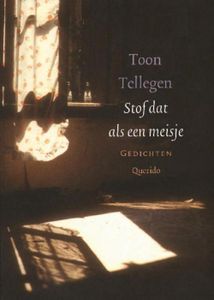 Stof dat als een meisje - Toon Tellegen - ebook