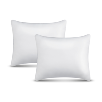 Hoofdkussen - Nasa Traagschuim - Set van 2 - Voor Rug & Zijslapers - Vulling: Memory Foam - Dekbed-Discounter.nl