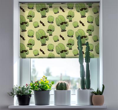 Cactus met snor Raambekleding woonkamer