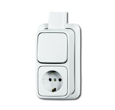 Schakelaar met stopcontact opbouw ra wit 2601 6 2300 EAPJW combinatie BJ