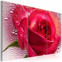 Schilderij - Vrouwelijke roos - 3 luik , rood , 90x60cm