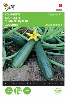 Zucchini Courgette Diamant F1 - Buzzy