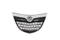 Radiateurgrille 6502073332990P