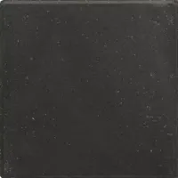 Excluton Tegel 30x30x4,5 cm zwart met pallet (4x4x4) (120 stuks per pak)