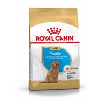 Royal Canin Puppy Poodle hondenvoer 3 kg