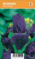 Vips Iris germanica Black Knight - Baardiris - thumbnail