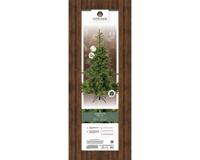 Grandis fir kunstkerstboom prelit verlicht dia. 172-H270 cm groen/warm wit Everlands - Everlands Grandis fir kunstkerstboom prelit verlicht dia. 172-H270 cm groen/warm wit Everlands - Everlands