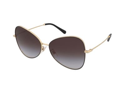 Zonnebrillen Dolce & Gabbana DG2274 13348G