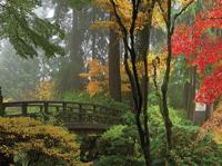 Brug 70x50cm Tuinschilderij Customize-it - Customize it