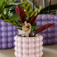 Kolibri Home | Poppy sierpot - Pink - Ø6cm Kolibri Home | Poppy sierpot - Pink - Ø6cm