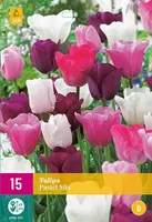 X 15 Tulipa Pastel mix - thumbnail