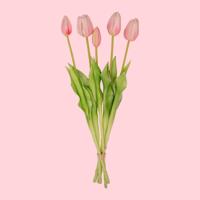 Tulpen boeket Pink - 5 stuks - 'Real Touch' Kunst tulpen - 42 cm (roze) Tulpen boeket Pink - 5 stuks - 'Real Touch' Kunst tulpen - 42 cm (roze)