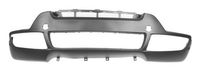 Bumper 5510000096900P