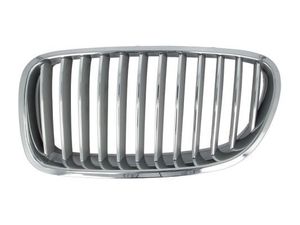 Radiateurgrille 6502070067996P