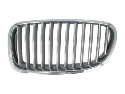 Radiateurgrille 6502070067996P