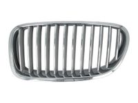 Radiateurgrille 6502070067996P