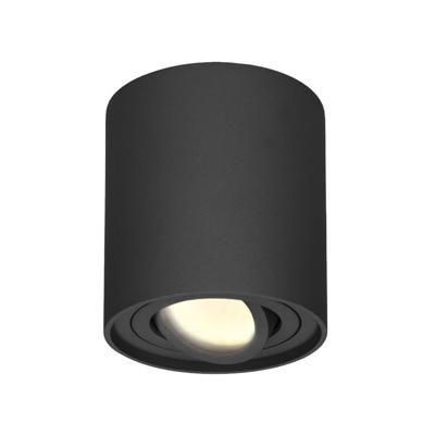Ronde LED Opbouwspot Ray - 4 Watt 345 lumen - 2700K warm wit - Kantelbaar - GU10 - Opbouwspot - IP20 Voor binnen - Zwart - Dimbaar