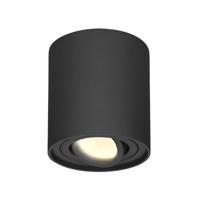Ronde LED Opbouwspot Ray - 4 Watt 345 lumen - 2700K warm wit - Kantelbaar - GU10 - Opbouwspot - IP20 Voor binnen - Zwart - Dimbaar