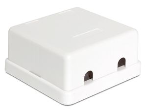 DeLOCK Keystone Surface Mounted Box 2 Port behuizing