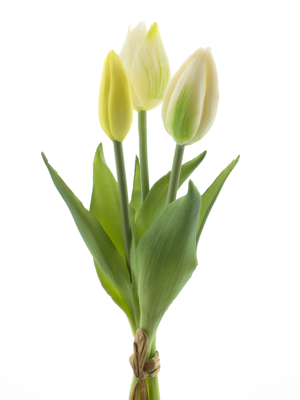 PSO Holland Tulip bundle Sally x3 cream 25 cm kunstbloem - Nova nature