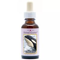Animal Essences Orca 30 Milliliter