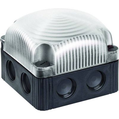 Werma Signaltechnik Signaallamp LED Werma 853.400.55 Helder Wit Continu licht 24 V/DC