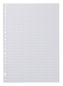 HEMA 100-pak Ringbandpapier Geruit 10 X 10 Cm HEMA 100-pak Ringbandpapier Geruit 10 X 10 Cm