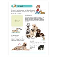 Deltas Stickerboek - dieren in huis en tuin