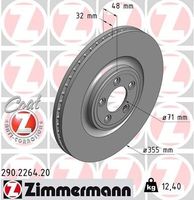 Remschijf Coat Z 290226420