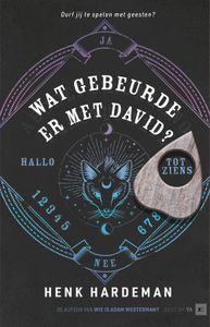 Wat gebeurde er met David? - Henk Hardeman - ebook