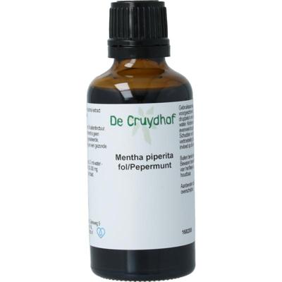 Cruydhof Mentha piperite / pepermunt tinctuur Cruydhof Mentha piperite / pepermunt tinctuur