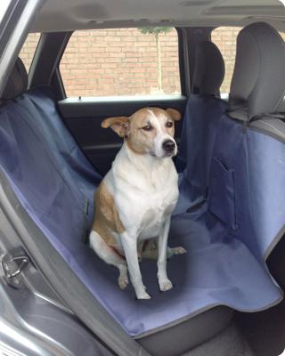 Autodeken waterproof 150x140 cm blauw Gebr. de Boon - Gebr de boon