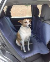 Autodeken waterproof 150x140 cm blauw Gebr. de Boon - Gebr de boon