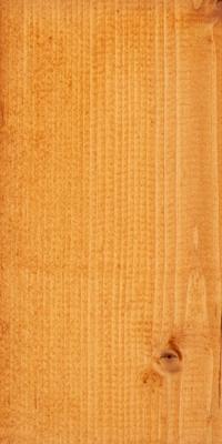 Embadecor Pine 2,5 liter Tuindeco - Tuindeco