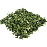 EasyLawn Grass Kunstplantenmat wandplant kunststof Fresh 1m2 - Easylawn grass
