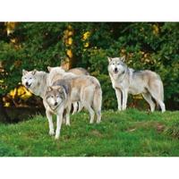 Cornelissen Placemat wolf/wolven - 3D print - 30 x 40 cm
