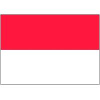 Vlag van Indonesie stickers - 7 x 10 cm - Landen - Indonesische vlaggetjes
