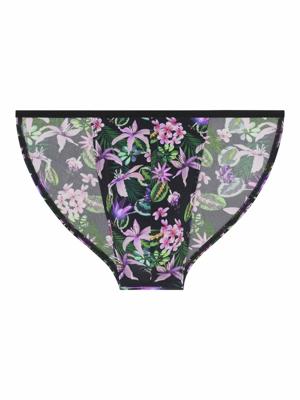 HOM - Tanga Briefs - Funky Styles - P0PI, Maat:XL