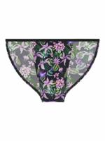 HOM - Tanga Briefs - Funky Styles - P0PI, Maat:L HOM - Tanga Briefs - Funky Styles - P0PI, Maat:L