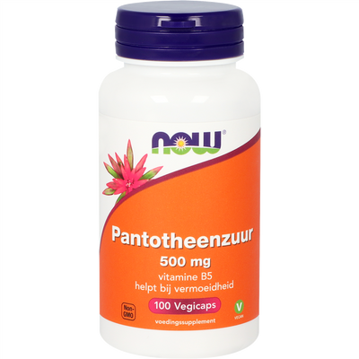 NOW Pantotheenzuur 500 mg capsules