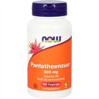 NOW Pantotheenzuur 500 mg capsules
