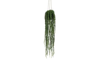 Kunstplant Senecio groen - Countryfield